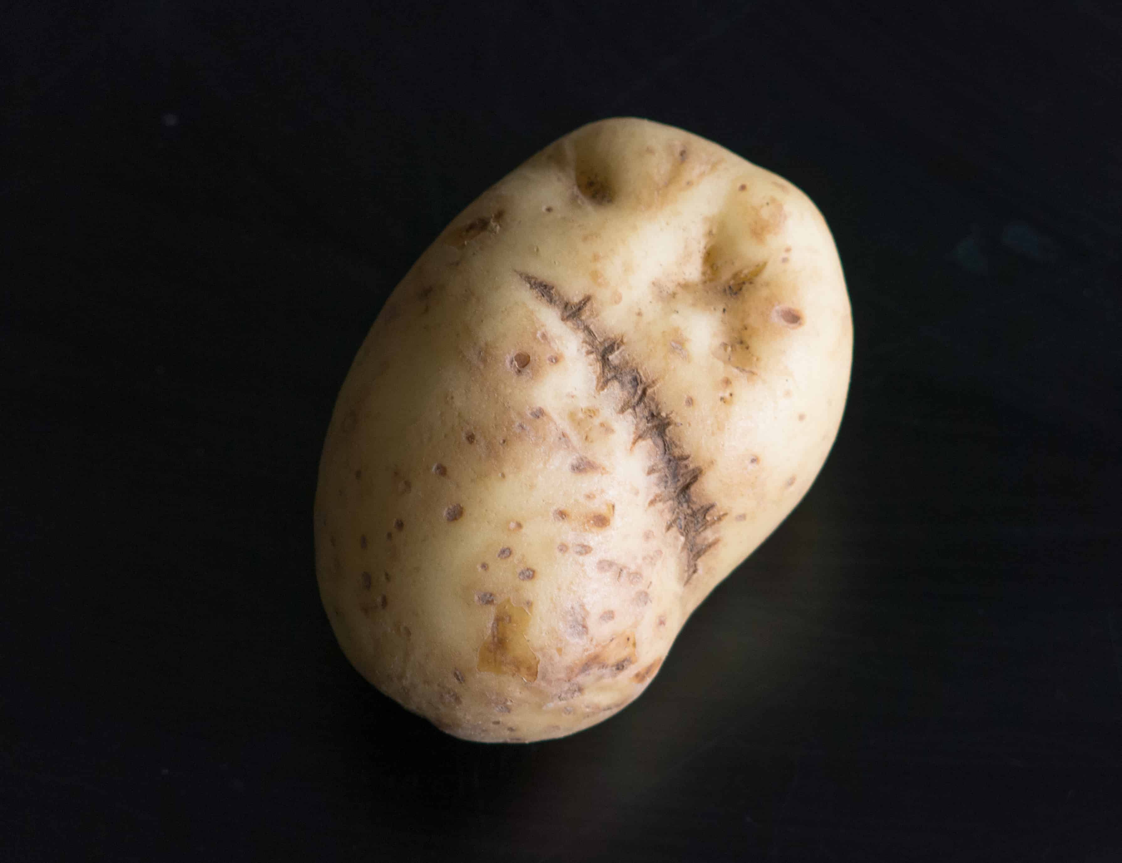 Frankenstein's Potato - FriFran
